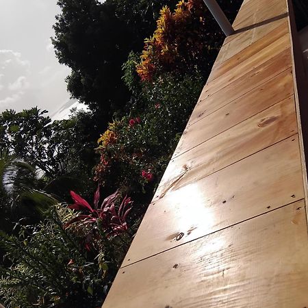 "Sunrise Inn" Nature Island Dominica Penville 외부 사진