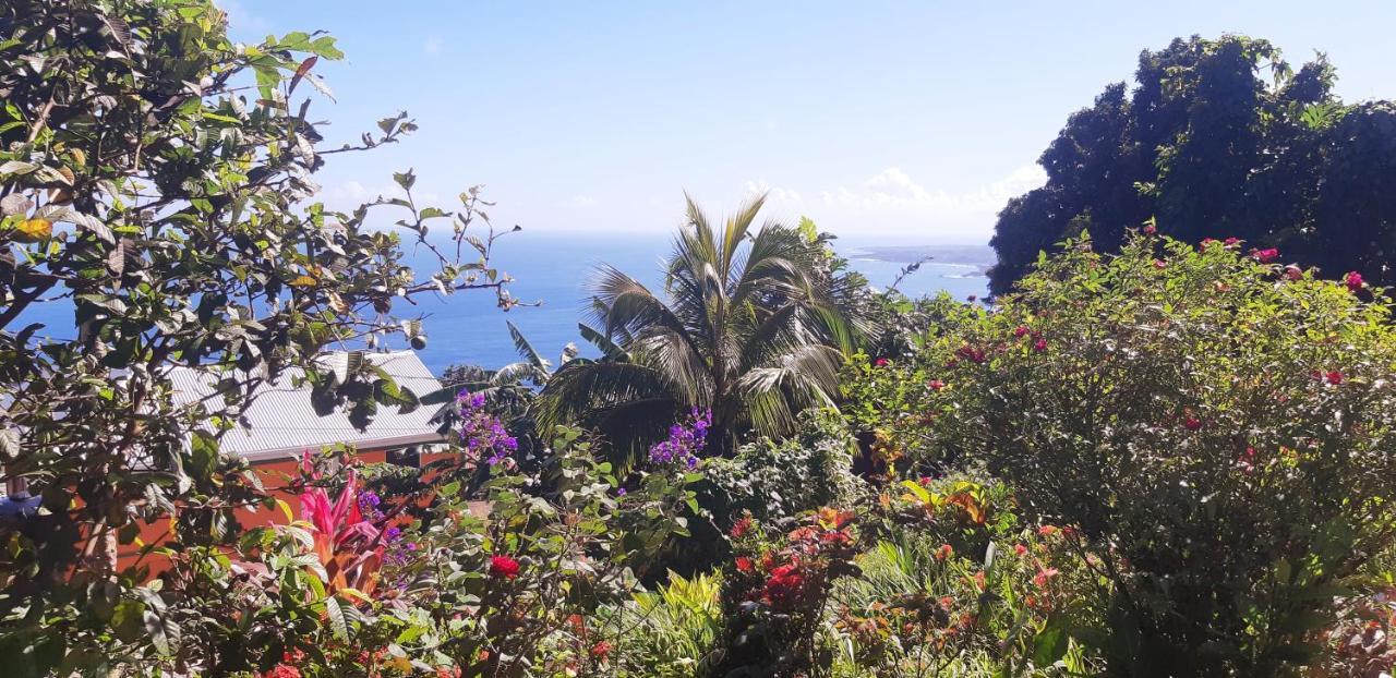 "Sunrise Inn" Nature Island Dominica Penville 외부 사진