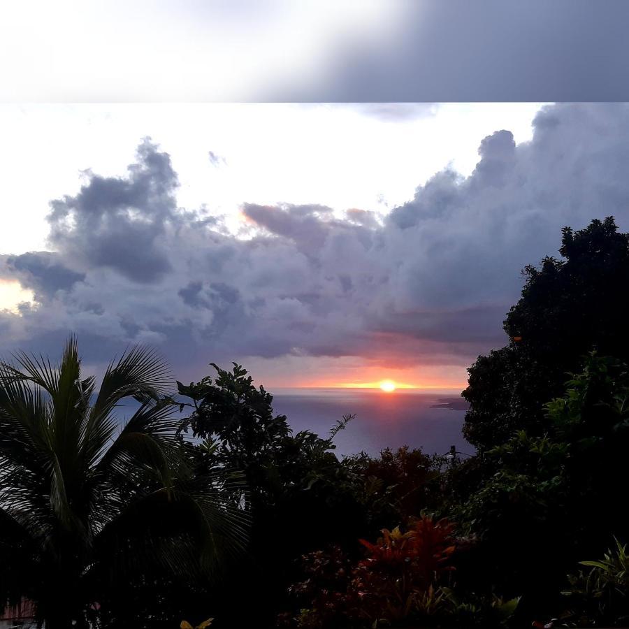 "Sunrise Inn" Nature Island Dominica Penville 외부 사진