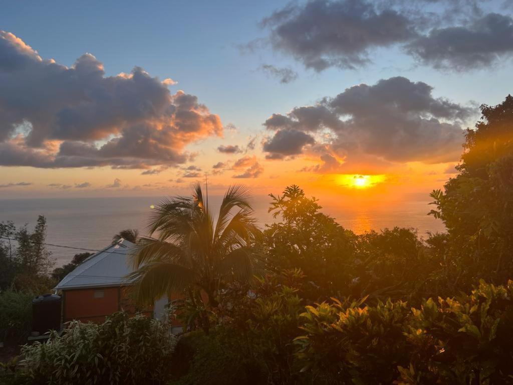 "Sunrise Inn" Nature Island Dominica Penville 외부 사진