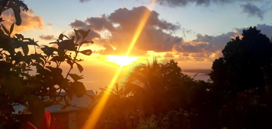 "Sunrise Inn" Nature Island Dominica Penville 외부 사진